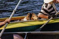 gal/!!!!!!!!_Regata_2024/_thb_278.jpg