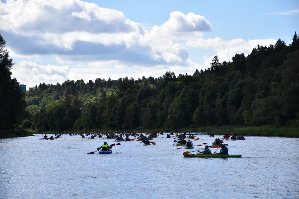 gal/!!!!!!_Regata_2022/308.jpg