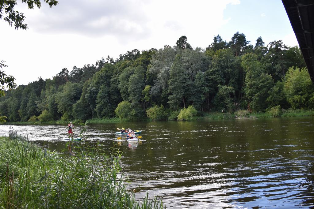 gal/!!!!!!_Regata_2022/362.jpg