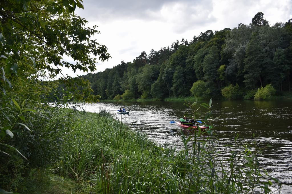 gal/!!!!!!_Regata_2022/368.jpg