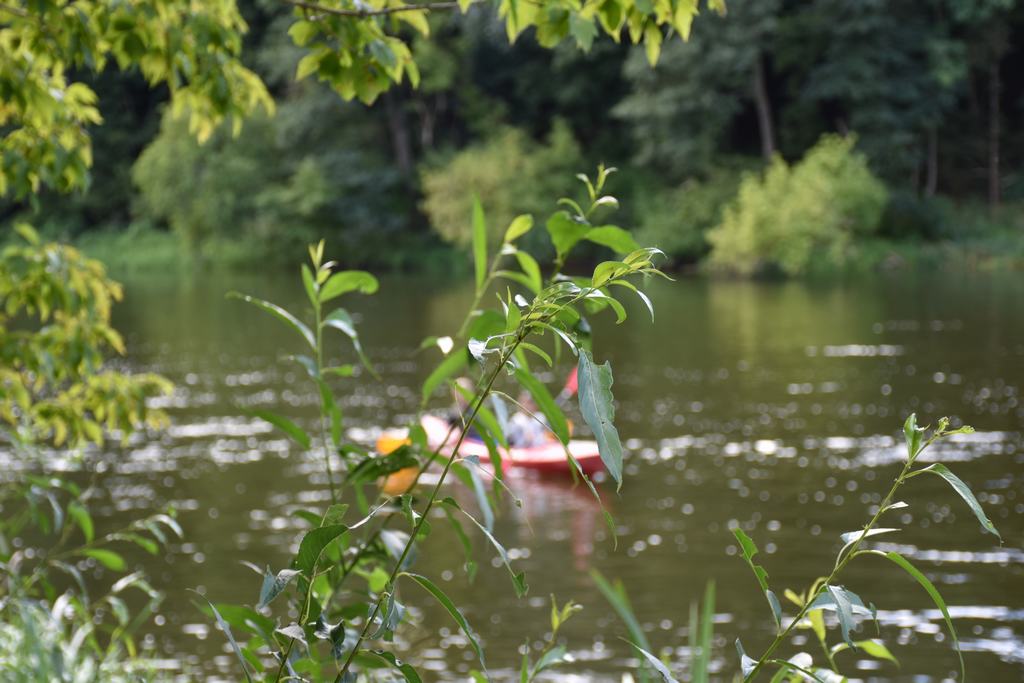 gal/!!!!!!_Regata_2022/381.jpg