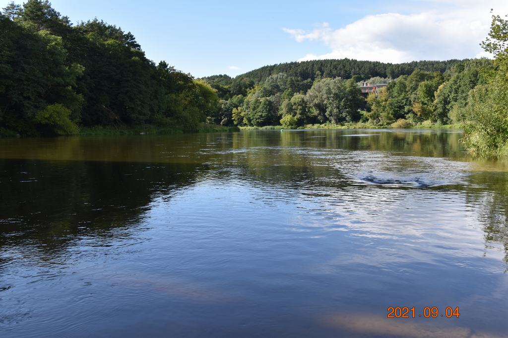 gal/!!!!!_Regata_2021/304.jpg